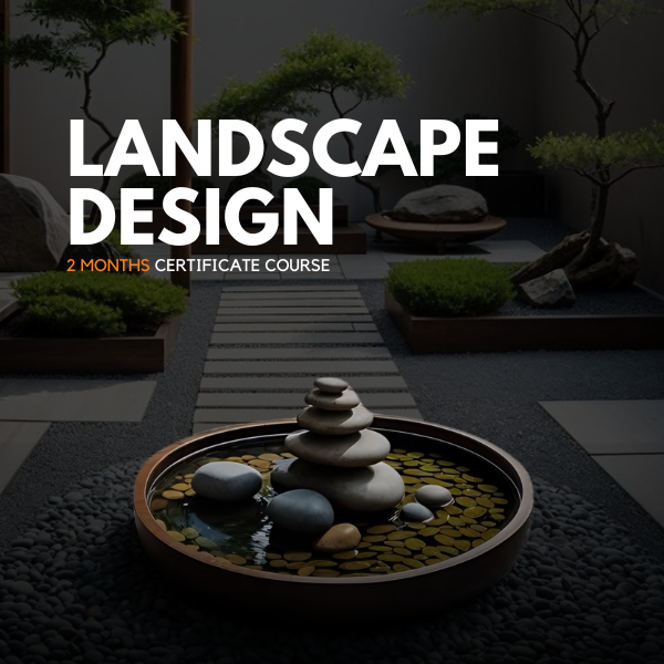 Minimal landscape design with bonsai trees and stone basin